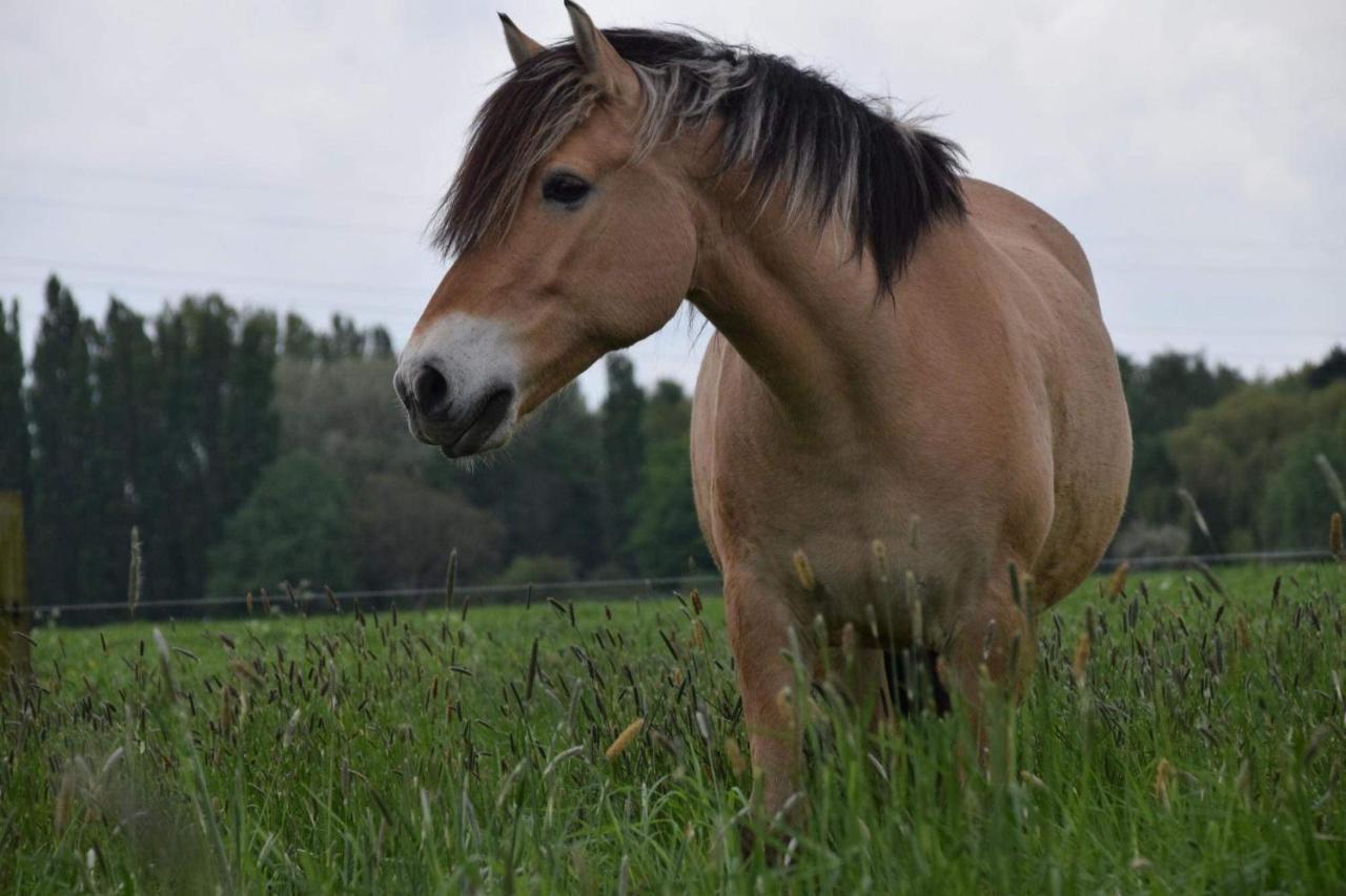 Ferme De La Forterie Verlinghem 외부 사진