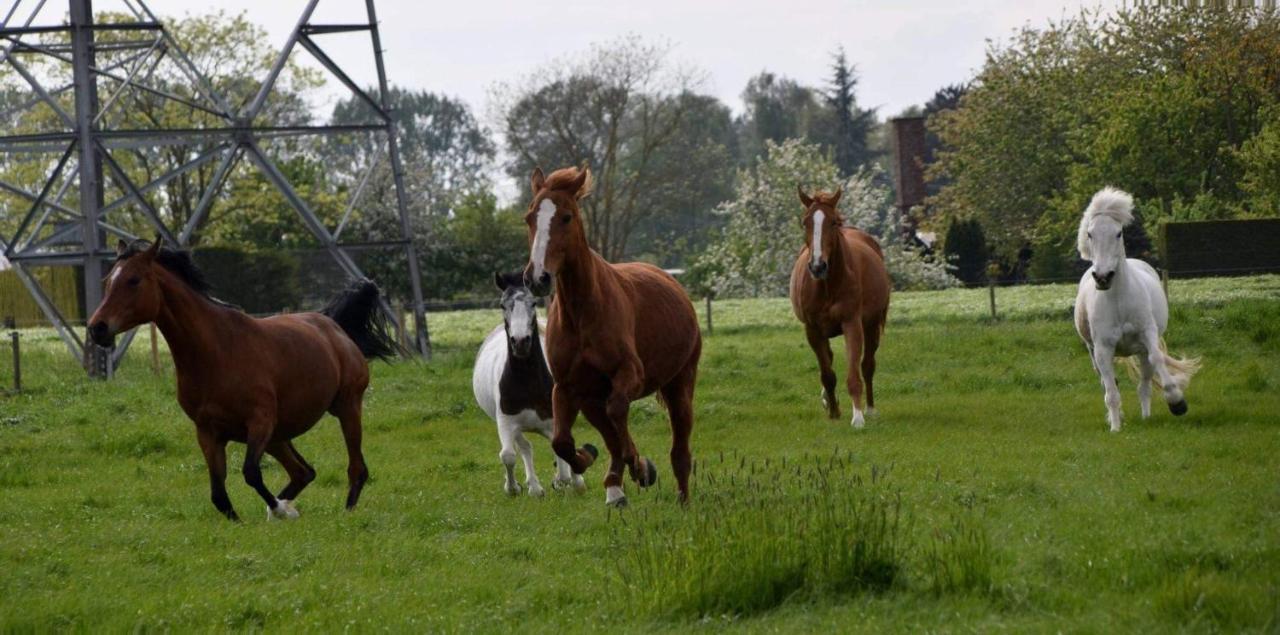 Ferme De La Forterie Verlinghem 외부 사진